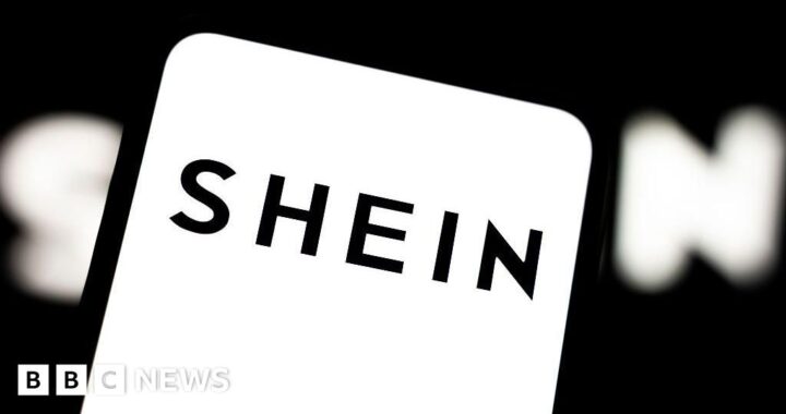 Shein accused of selling childlike sex dolls in France